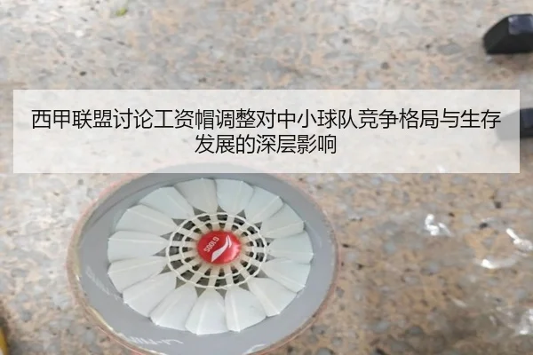 西甲联盟讨论工资帽调整对中小球队竞争格局与生存发展的深层影响